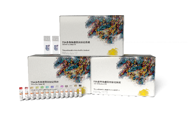 高能TSA多重免疫組化檢測(cè)試劑盒